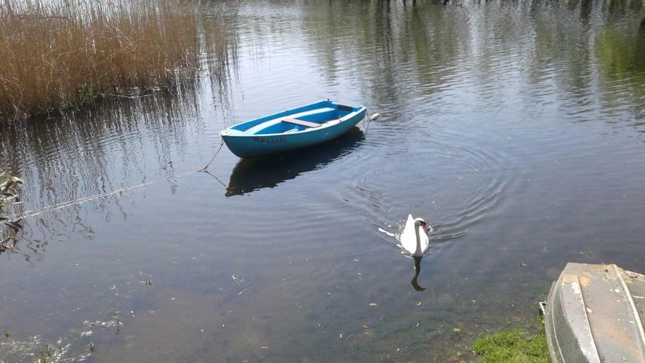 Una Finestra Sul Lago..Appartamento Verbania Exteriör bild